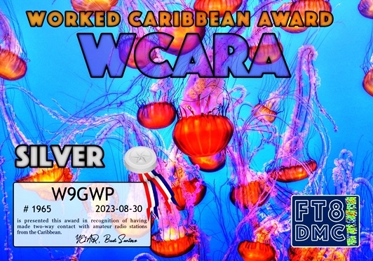 W9GWP-WCARA-SILVER_FT8DMC